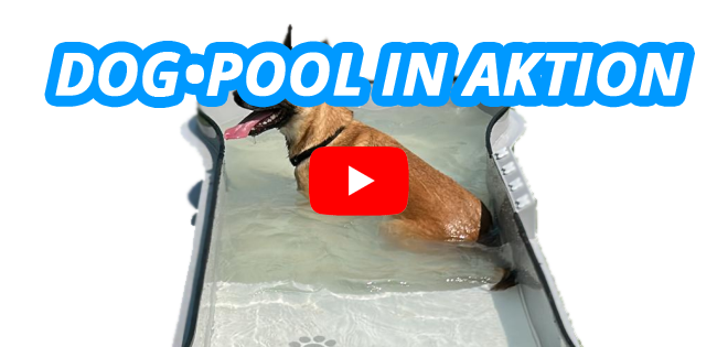 Youtube Vorschau - Video ID 1EbPflZeCQc