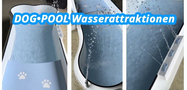 Youtube Vorschau - Video ID z2LJw1-ZgQ4